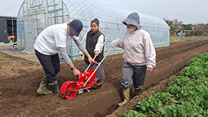 個別研修でスタッフと一緒に農作業をするミトゥさん