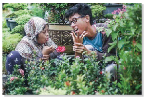 Photograph 7