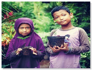 Photograph 8