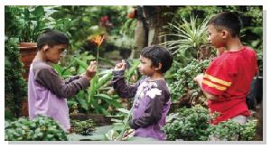 Photograph 9