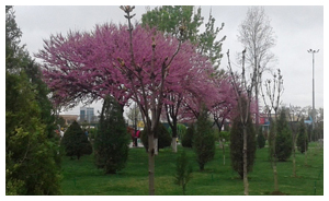 Photograph 23